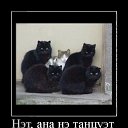 ���� �������, ����������, 38 ��� - ��������� 31 ��� 2012 � ������ ���� ����������