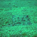 ���� �����, ���������, 48 ��� - ��������� 21 ������� 2012