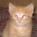 ���� ���������, ������ ��������, 46 ��� - ��������� 28 ������ 2009 � ������ ���� ��������: ������ � �����