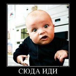 ���� �����, ������-��-����, 38 ��� - ��������� 7 ������� 2012
