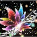 ���� �����, ������, 26 ��� - ��������� 25 ���� 2010 � ������ �������