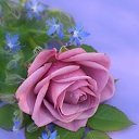 ���� �����, ���������, 52 ���� - ��������� 22 ������� 2011 � ������ ���� ����������