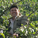 ������ ����� �� ������� ���� ����������