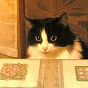 ���� �����, ������ - ��������� 26 �������� 2011 � ������ �������