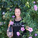 ���� ����, ��������, 40 ��� - ��������� 3 �������� 2012 � ������ ���� ����������