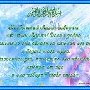 ���� Nur, ������, 41 ��� - ��������� 2 ������ 2012