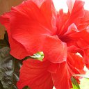  , , 72  -  11  2013     λ