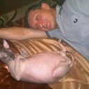   *  *, , 60  -  6  2012    