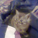 ���� Inyska (����), ������ �������� - ��������� 27 ������ 2013 � ������ ���� ����������