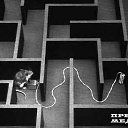 ���� ���������, ��������, 27 ��� - ��������� 17 ������ 2009