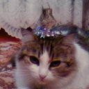 ���� ��������, ��������, 25 ��� - ��������� 8 ������� 2011