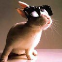 ���� Knoss, ������������, 26 ��� - ��������� 18 ������� 2009 � ������ �������� - �����������