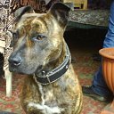 ���� ������, �����, 38 ��� - ��������� 11 ��� 2011