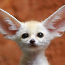 ���� ������, ����, 39 ��� - ��������� 24 ������ 2010 � ������ ���� ����������