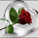 ���� �����, ������ ��������, 47 ��� - ��������� 26 ��� 2012 � ������ �������