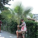 ���� �����, ����-�������, 37 ��� - ��������� 15 ������ 2011 � ������ ����� 2011�.�