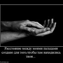 ���� ����������, �����������, 44 ���� - ��������� 24 �������� 2011 � ������ �������