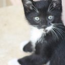 ���� ��������, �������� - ��������� 28 ����� 2012 � ������ �PetLove�