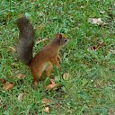 ���� ������� �, ������, 53 ���� - ��������� 9 ����� 2011 � ������ �...�� ��� ��� ����� ������ ���....�