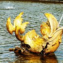 ���� �����, ������, 49 ��� - ��������� 3 ������� 2010 � ������ ���� �� �������� � �����