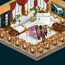  , , 37  -  17  2012   Tropikania