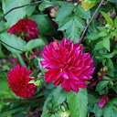  ir@ge))) ))), , 47  -  19  2010   