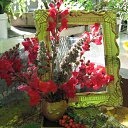 ���� �����, ���� - ��������� 20 �������� 2009 � ������ ����� �����