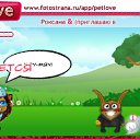 ���� �����, ����� ���, 41 ��� - ��������� 26 ������� 2010 � ������ �PetLove�