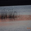 ���� ������, �����������, 57 ��� - ��������� 3 ��� 2013 � ������ ���� ����������