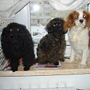 ���� �������, ��������, 54 ���� - ��������� 7 ������ 2011 � ������ �������� � ������))))))�