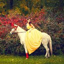 ���� ������, ������, 52 ���� - ��������� 7 ������ 2012 � ������ ���� ����������