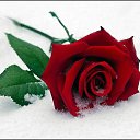 ���� �� ����� �� ������� �RoadKing�