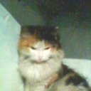 ���� �����, ������������, 38 ��� - ��������� 4 ������� 2012 � ������ ���� ��������