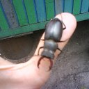 ���� ������, ������������, 40 ��� - ��������� 21 ������� 2010 � ������ �2010�