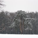 ���� ����, ������, 44 ���� - ��������� 23 ��� 2010 � ������ ��������