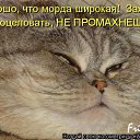 ���� �������, �����������, 61 ��� - ��������� 23 ������ 2012 � ������ �������