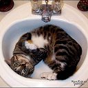 ���� Irisk@, ������ - ��������� 19 ���� 2011 � ������ �������