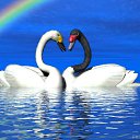 ���� ������, ����������, 49 ��� - ��������� 13 ��� 2012 � ������ ���� ����������