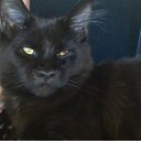 ���� �������, ���������, 49 ��� - ��������� 24 ������ 2011 � ������ �Magnificent�