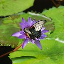 ���� ����� - ���������� ��������!!!, �����������, 56 ��� - ��������� 10 ������ 2010 � ������ ������� �����