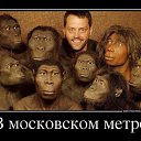 ���� ������, ������, 35 ��� - ��������� 23 ��� 2013 � ������ ���� ����������