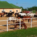 ���� ��������, ���������, 52 ���� - ��������� 3 ���� 2012 � ������ ���������