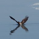 ���� ����, ������-�������, 49 ��� - ��������� 22 �������� 2012 � ������ ���� ����������