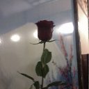 ���� ������, ������ - ��������� 28 ������� 2011 � ������ ������