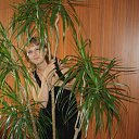  , , 50  -  27  2011   ...