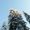  Serzh Van Der Maaremaan,  -  1  2009    