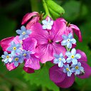 ���� ����� - ���������� ��������!!!, �����������, 56 ��� - ��������� 15 ������ 2010 � ������ �������� ��� ���� :-)))�