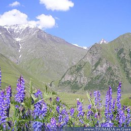 ���� ���������, ������, 66 ��� - ��������� 4 ������ 2011