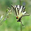 ���� ����. ��������� �� ��!, ������, 72 ���� - ��������� 7 ��� 2011 � ������ ��������