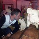 ���� Sergey, ������, 50 ��� - ��������� 9 ������� 2012 � ������ ���� ����������